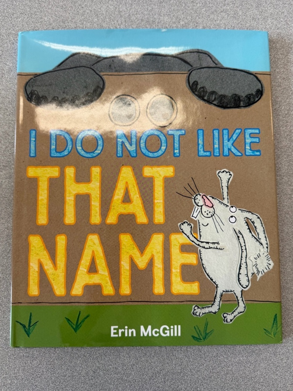 I Do Not Like That Name by Erin McGill - Brown, Yellow, Blue